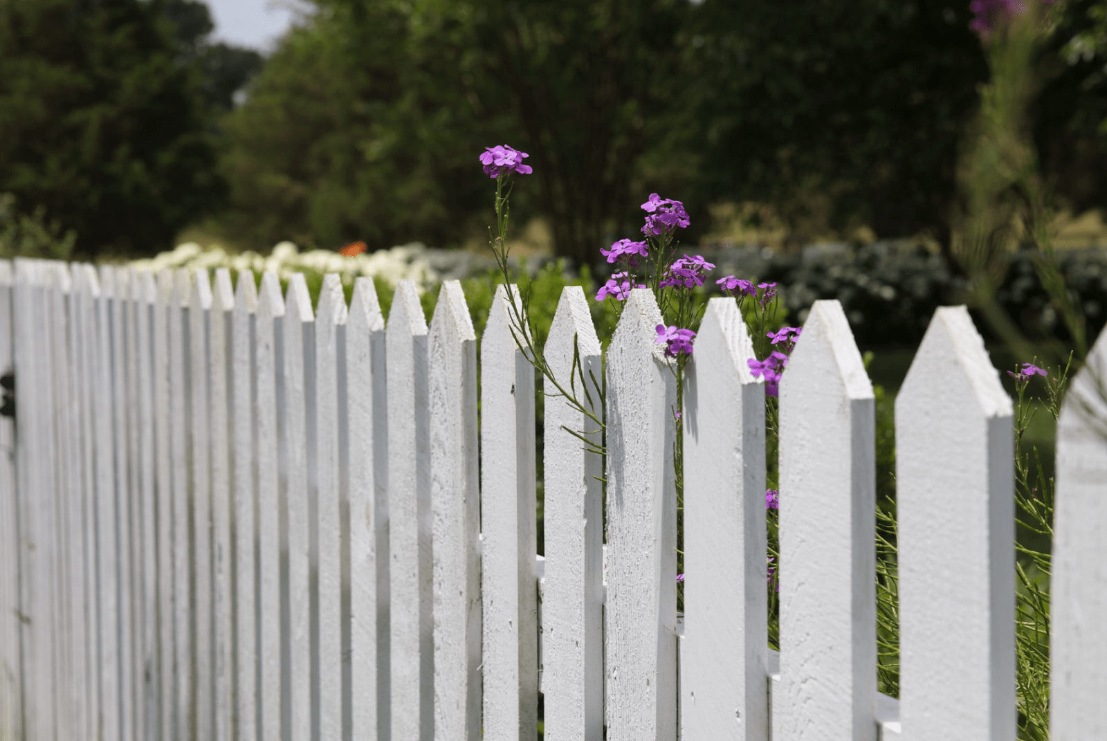 fencing eastern suburbs