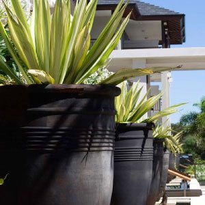 decorative pots shop