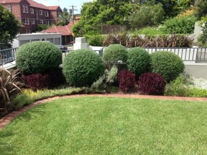 landscape maintenance sydney