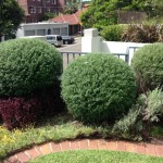 landscape maintenance sydney