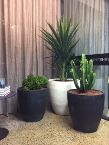 large garden pots sydney