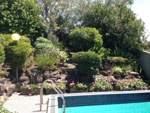 Latimer 1 garden maintenance company