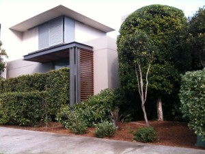 Marida landscape gardeners sydney