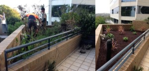 garden specialists sydney