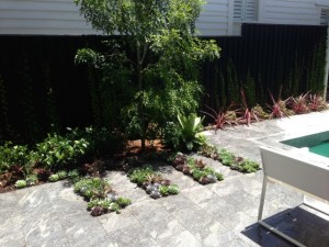 lawn and garden maintenance sydney