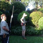 our local gardeners and landscapers in Sydney at work