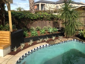 pool landscapers eastern suburbs sydney