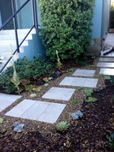 small front yard lanscaping eastern suburbs sydney 1