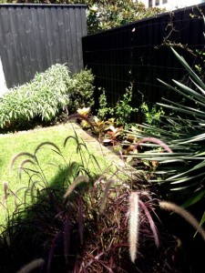 small garden landscapers sydney