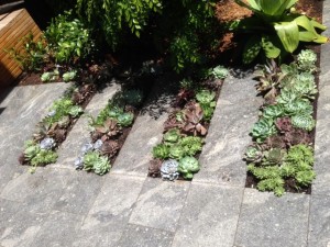 small garden maintenance