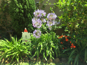 gardening services sydney