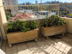 garden maintenance for apartment