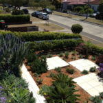 Nimboidia lawn and garden care sydney