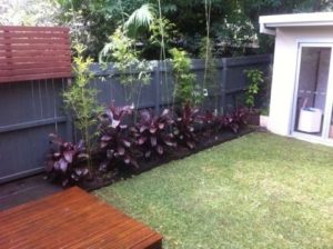 Garden Maintenance Services North Sydney, NSW 2060 | Amico