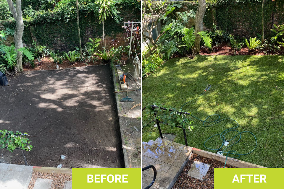 landscaping eastern suburbs before after