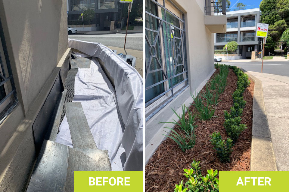 landscaping services sydney before after