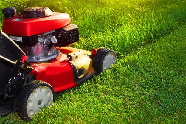 How To Trim Lawn Edges Quickly and Easily