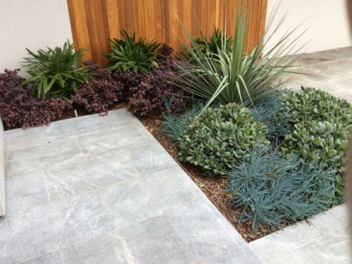 garden landscaping eastern suburbs sydney