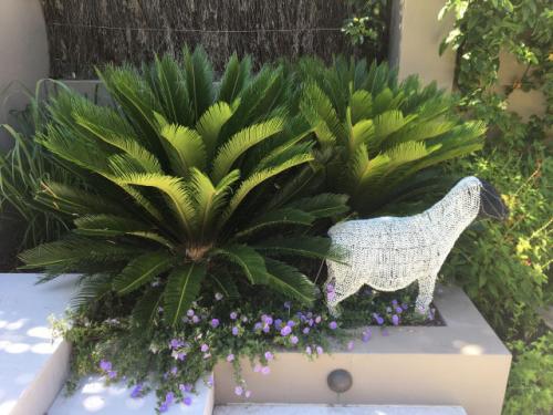 Garden Maintenance Services, Lawn & Landscape Maintenance Sydney