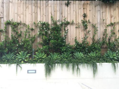 landscape designer-gallery Sydney