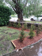landscape gardeners sydney