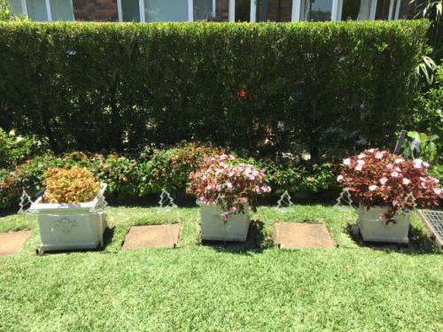 landscapers bondi junction eastern suburbs