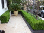 landscaping design sydney