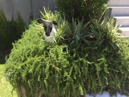 landscaping eastern suburbs bondi sydney