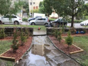 landscaping services sydney