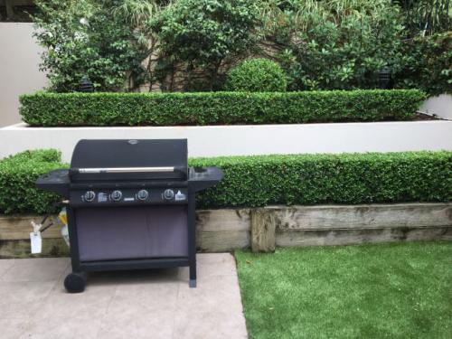 tree removal services sydney