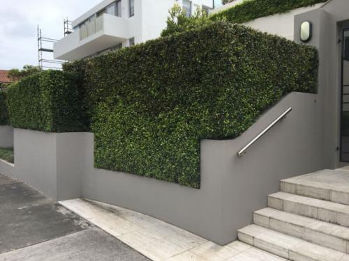 tree trimming cutting removal loping pruning eastern suburbs sydney